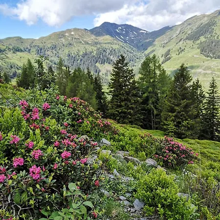 Sportchalet * Viehhofen