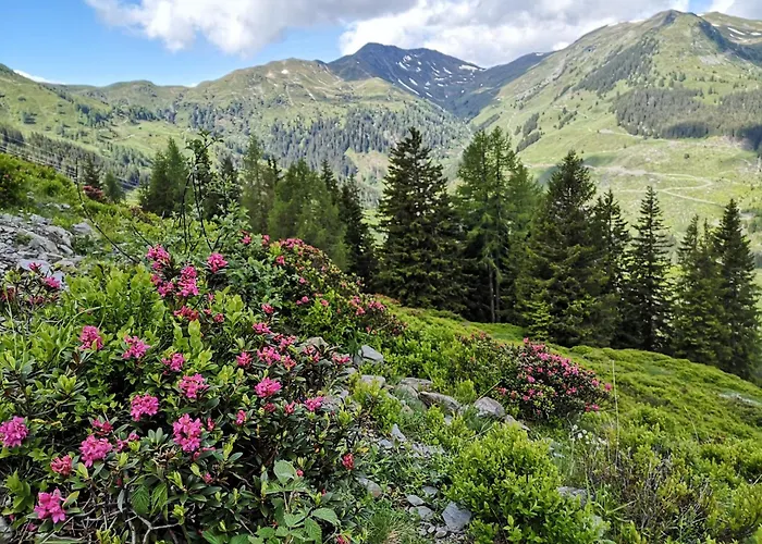 Sportchalet * Viehhofen